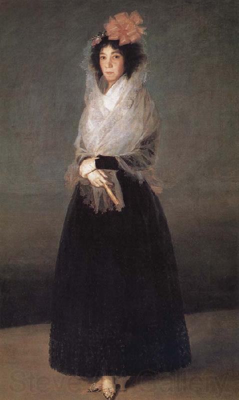 Francisco Goya Marquise of la Solana Norge oil painting art